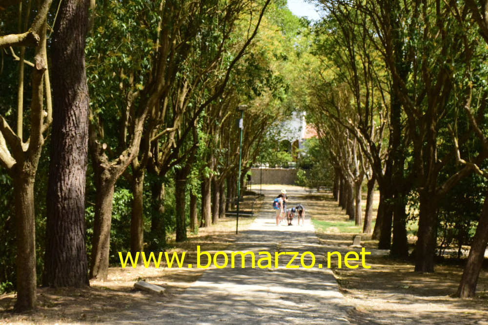 Viale di ingresso al Parco dei Mostri