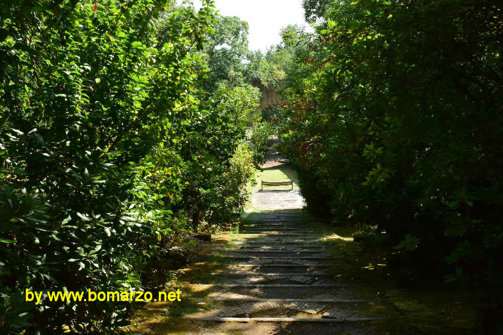 La salita al Parco a monte