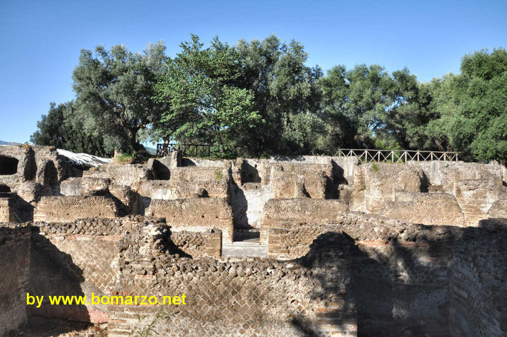 Hospitalia