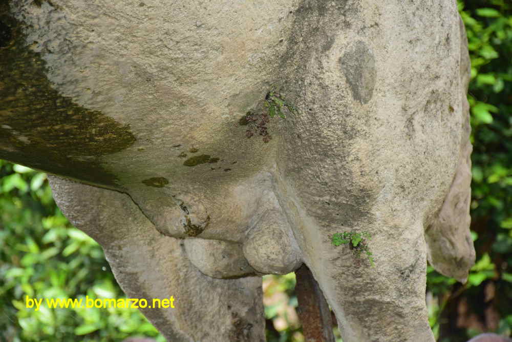 La fontana del Pegaso